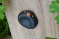 Worry Stone Amsel