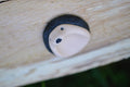 Worry Stone Braunbrustigel