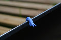 Laptop Slug blau metallic