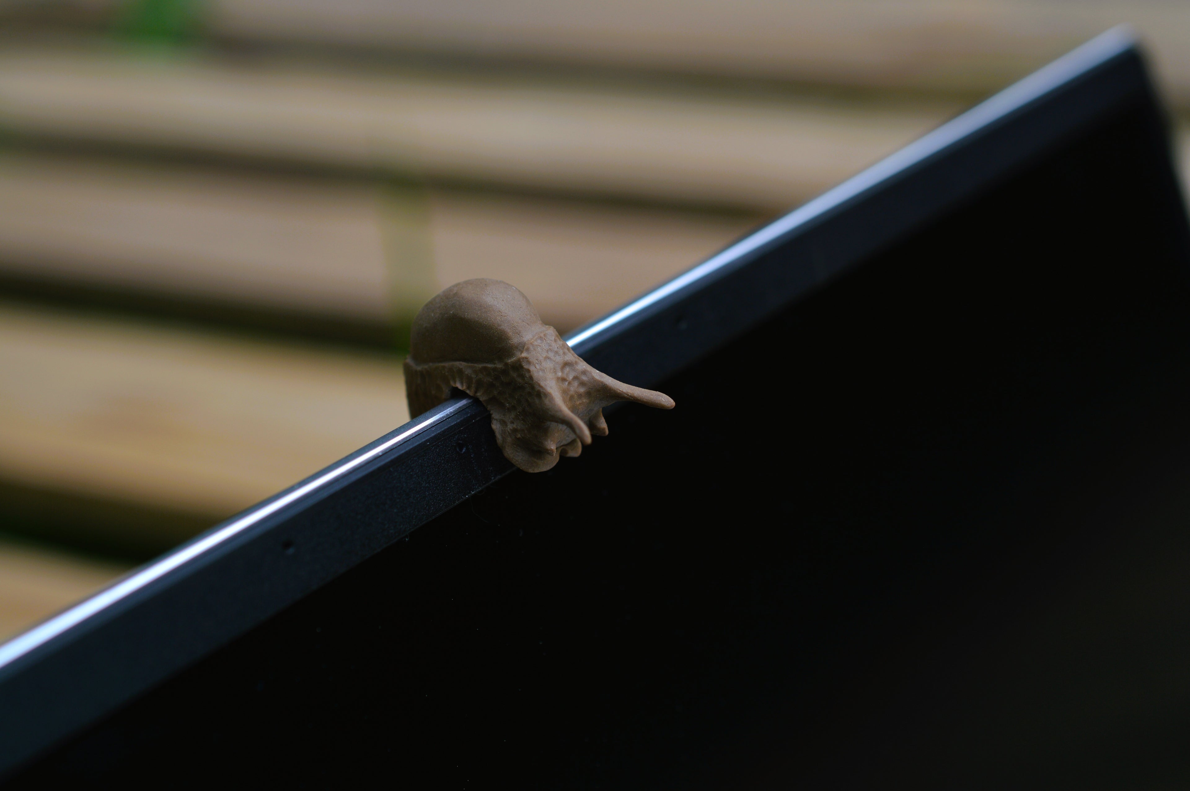 Laptop Slug braun