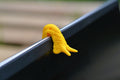 Laptop Slug gelb