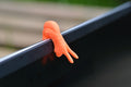 Laptop Slug neon orange