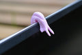 Laptop Slug rosa