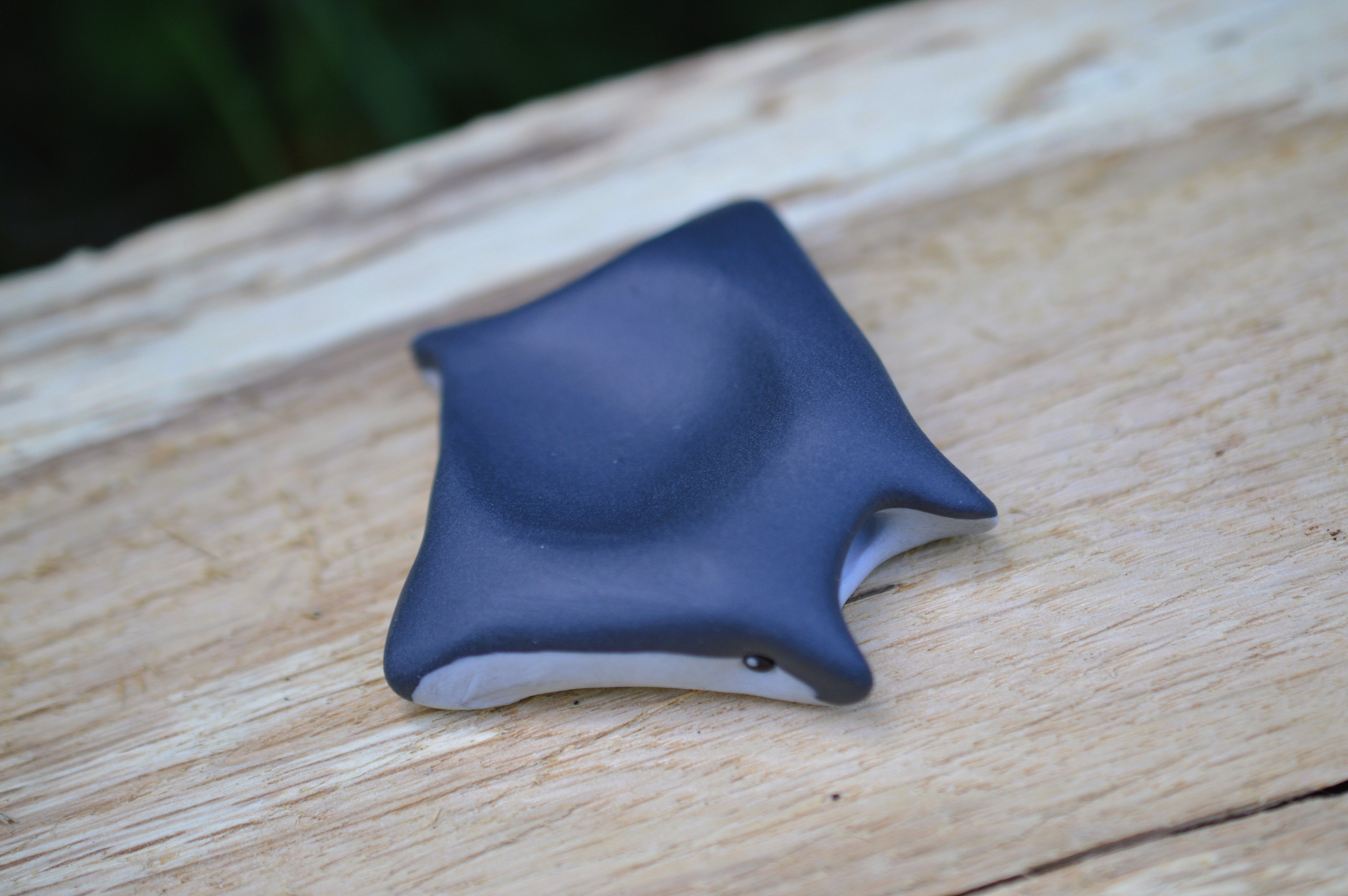 Worry Stone Riffmanta