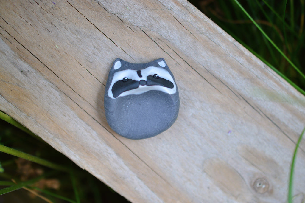 Worry Stone Waschbär